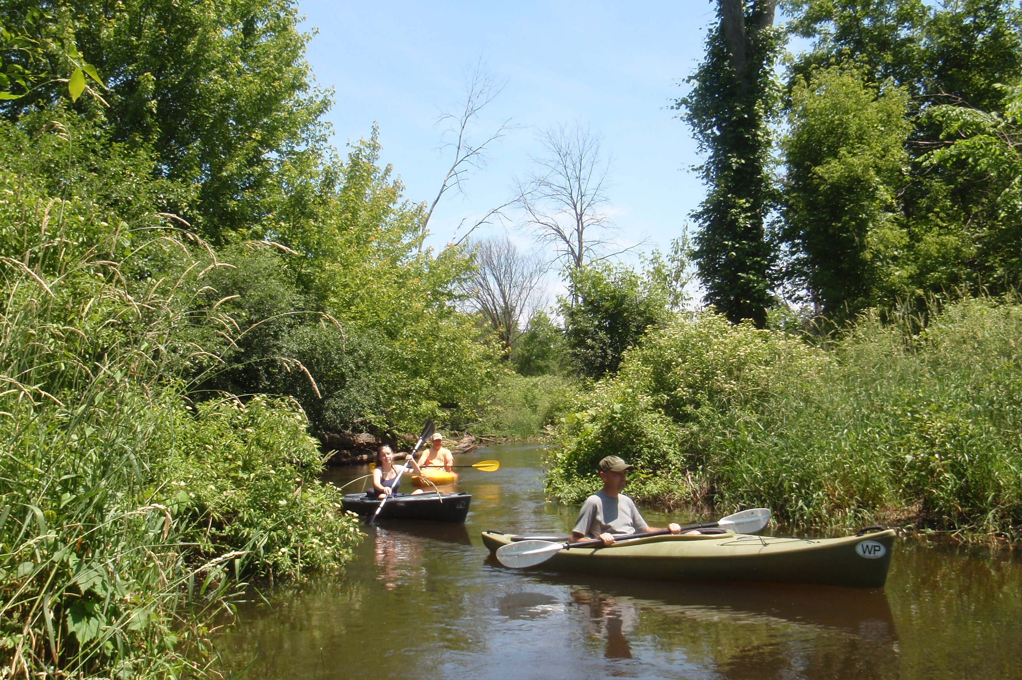 Shiawassee River Water Trail - North